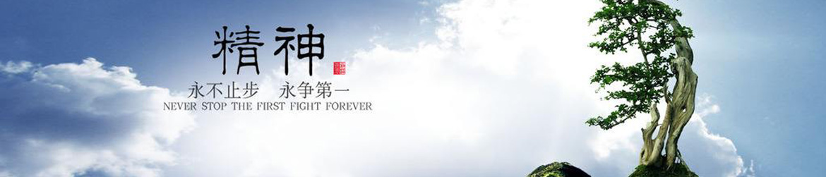 企業(yè)實(shí)力